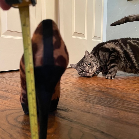 Stuart Weitzman leopard print heel - Picture 11 of 11